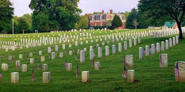 ft-d-flags-2-23-crop