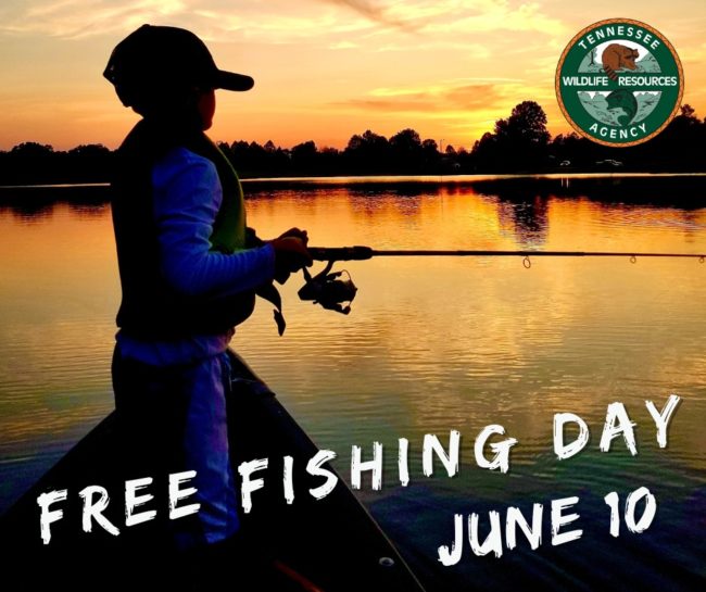 Tennessee Free Fishing Day This Saturday radio NWTN