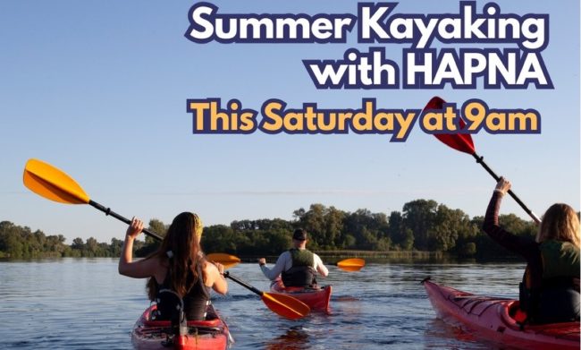 ap-kayak-crop