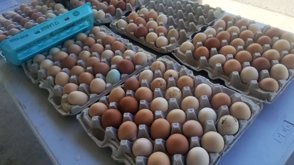 farmers-first-2-eggs