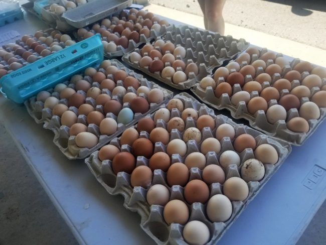 farmers-first-2-eggs