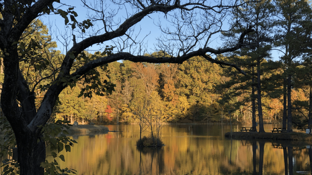 herb_parsons_lake_in_autumn