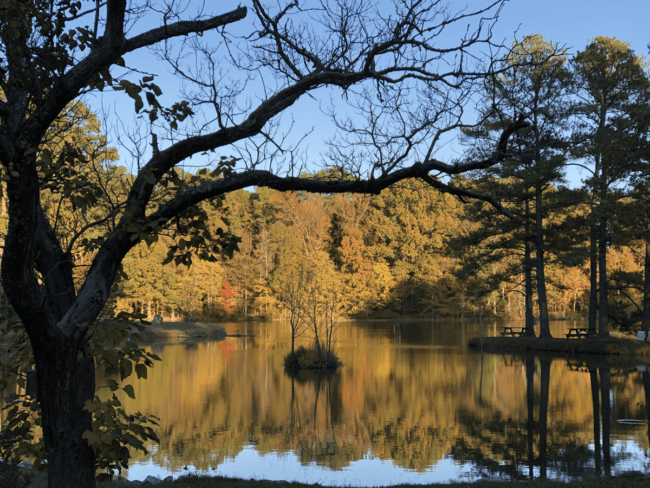 herb_parsons_lake_in_autumn