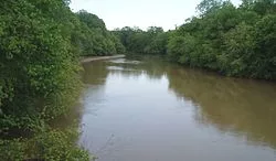 obion-river