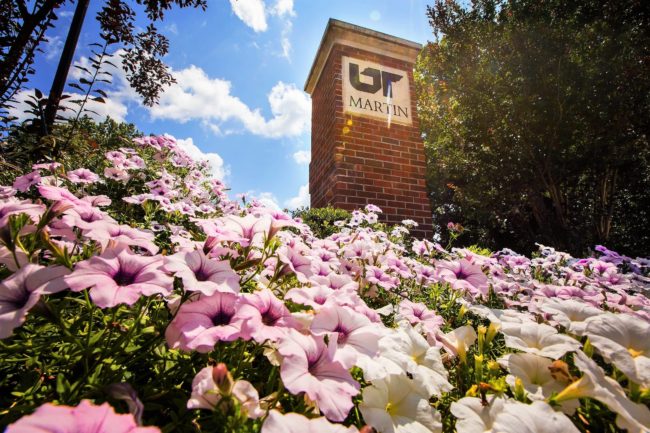 ut-martin-w-pink-flowers