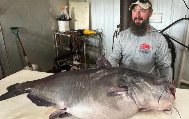 barkley-record_blue-catfish__barkley