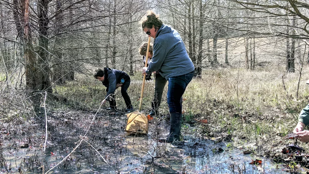 tenn-naturalist