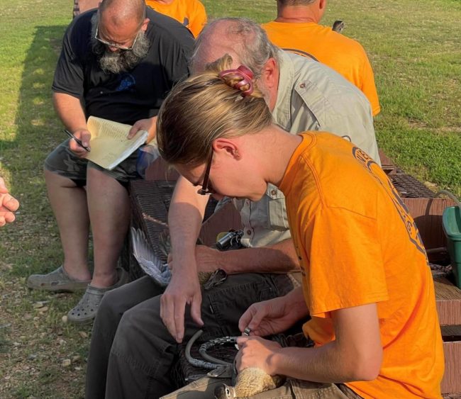 refuge-wood-duck-banding-2