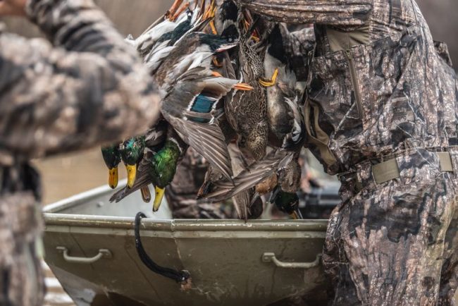 duck-blind