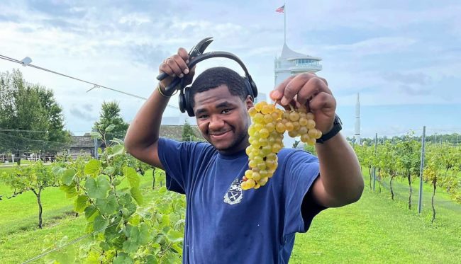 discovery-park-grapes-2