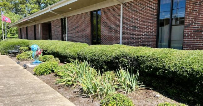 library-outside-crop