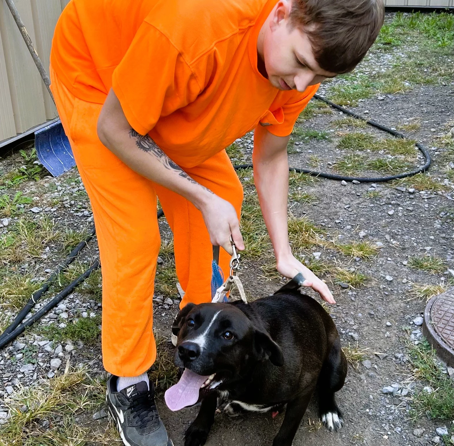 stew-co-sher-pet