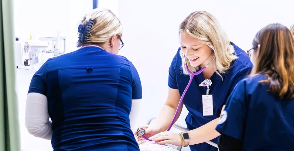 msu-nursing_grant