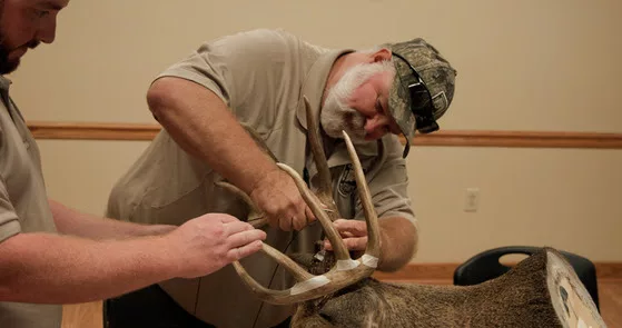ky-deer-poaching