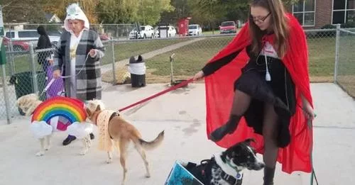 halloween-22-dog-party