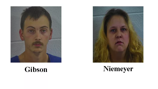 gibson-and-neimeyer