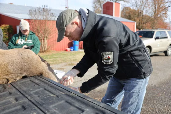 ky-deer-disease