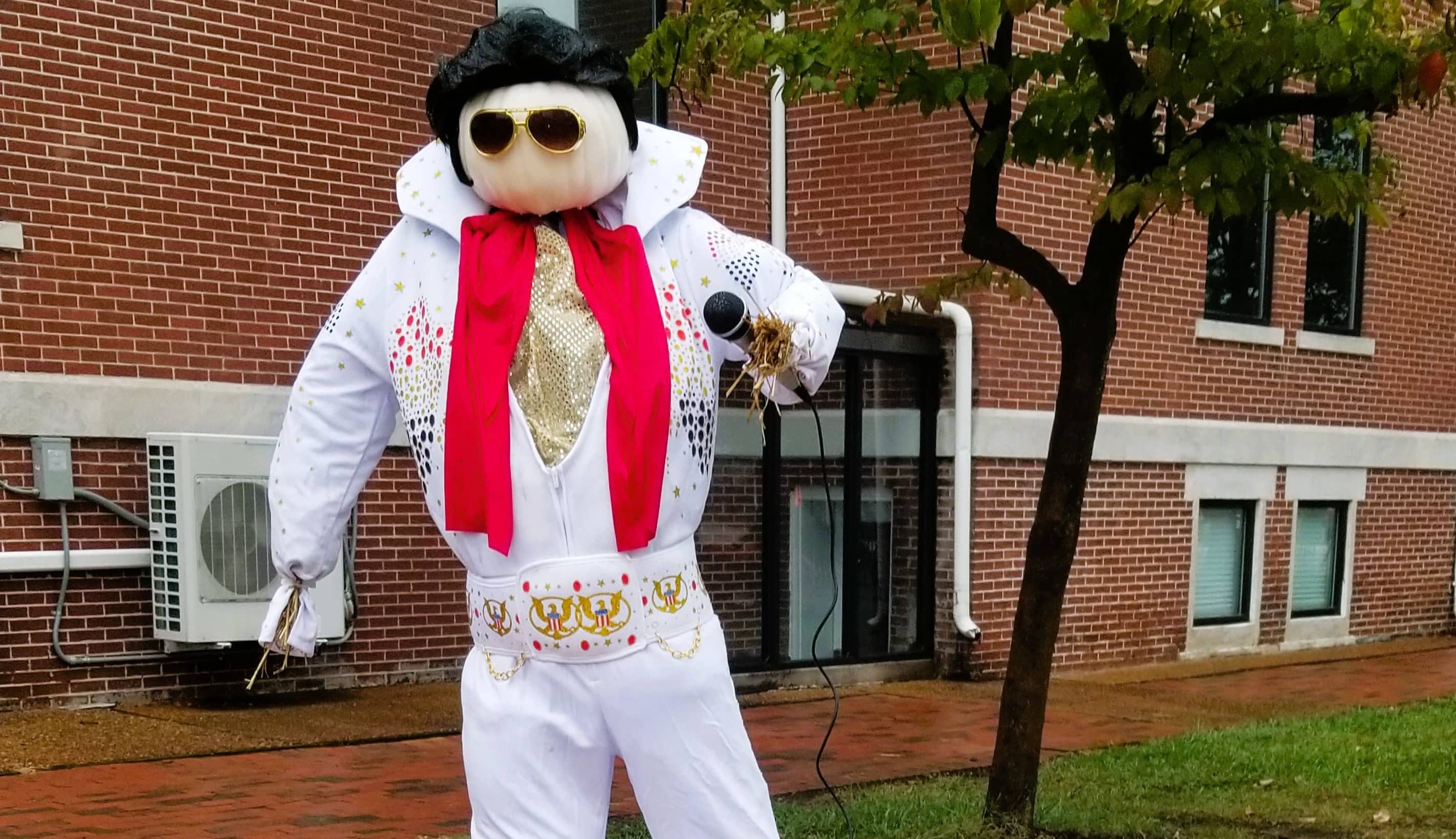 scare-23-elvis