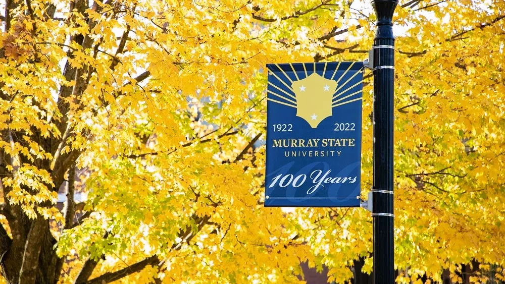 msu-centennial-flag