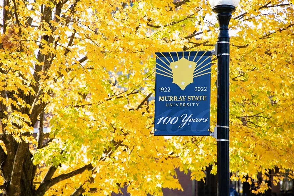 msu-centennial-flag