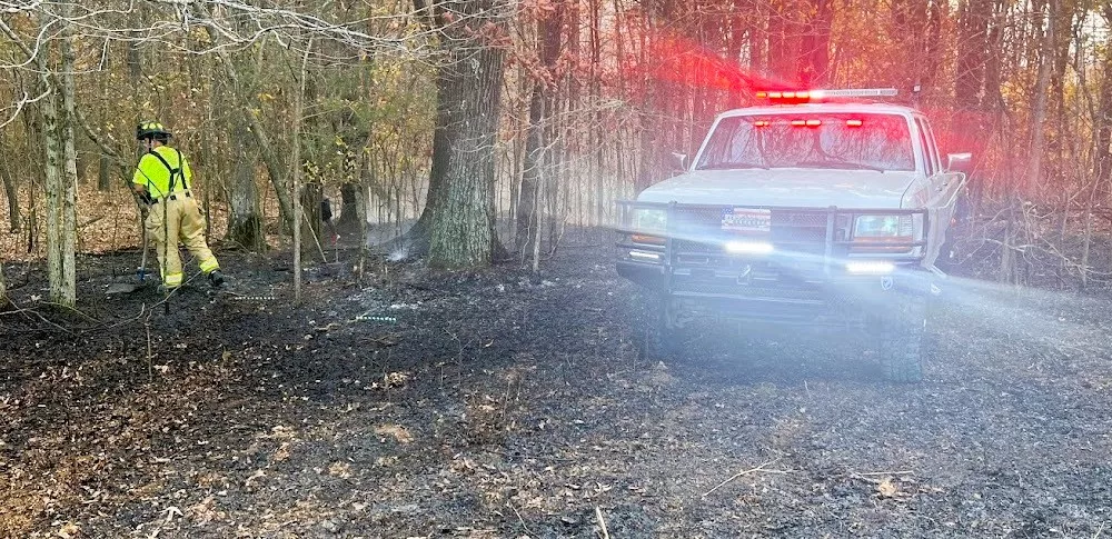 henry-brush-fire-nov-14