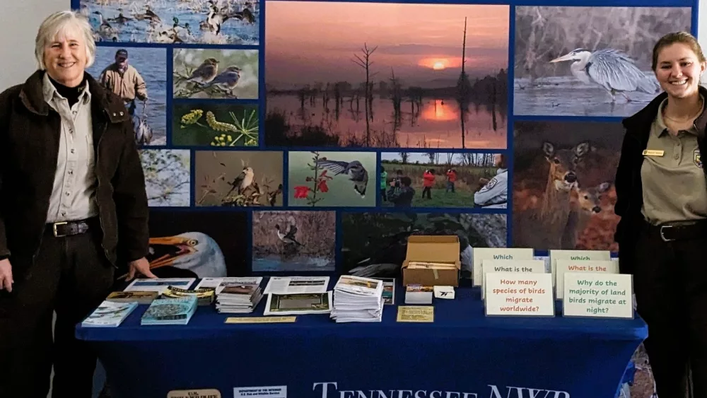 refuge-migration-booth