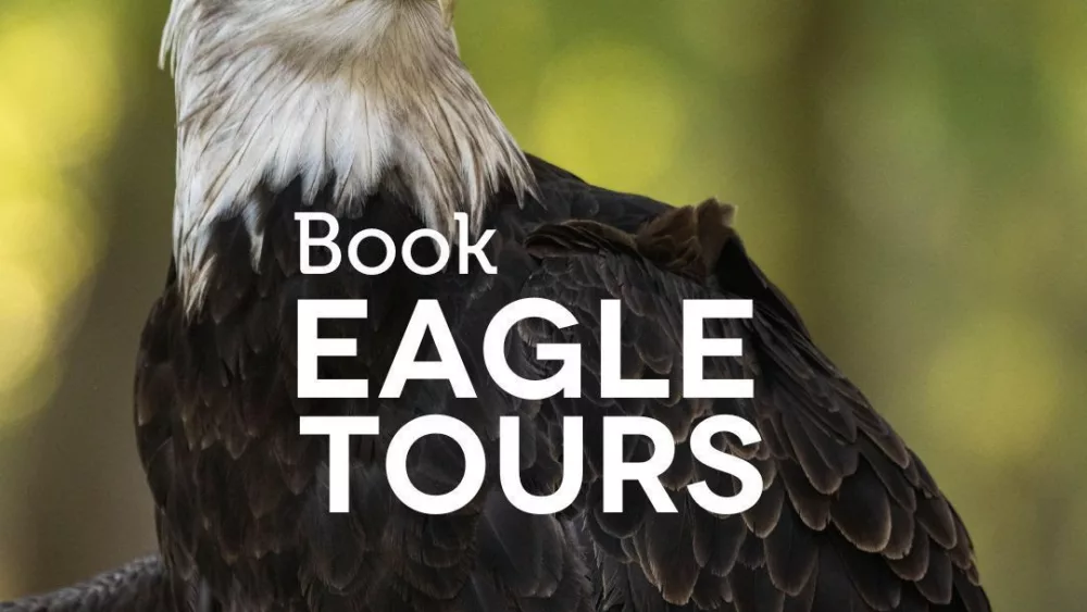 reelfoot-eagle-tours
