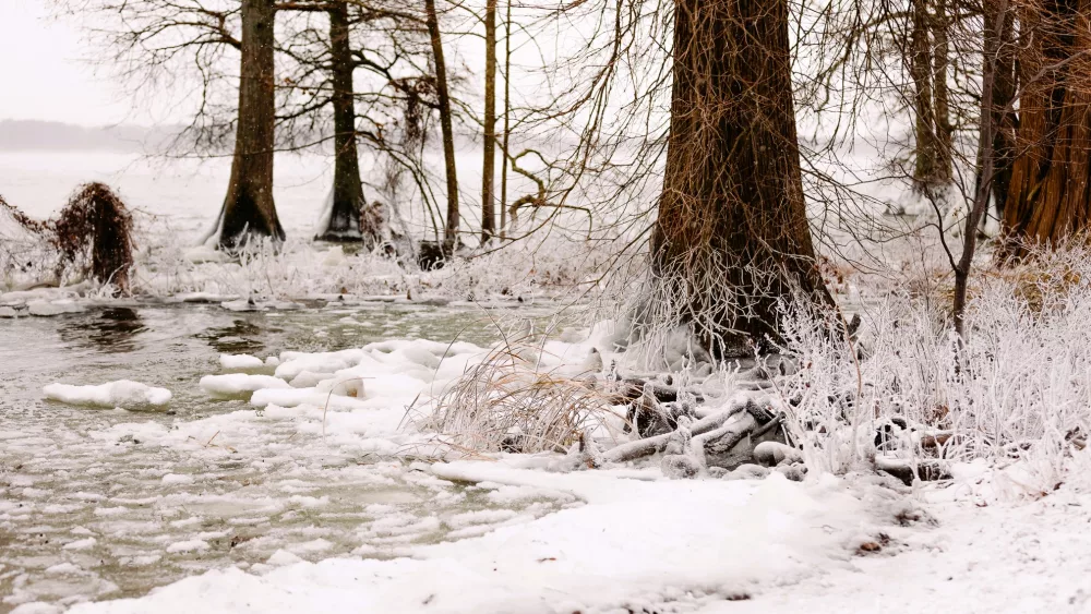 reelfoot-ice-form-danielle-sanfprd
