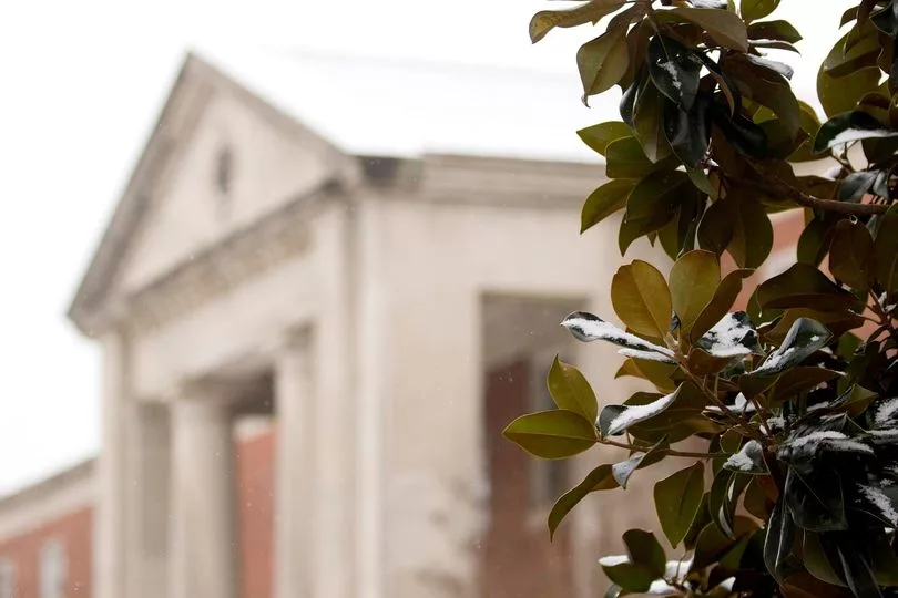 utm-snow-on-magnolia