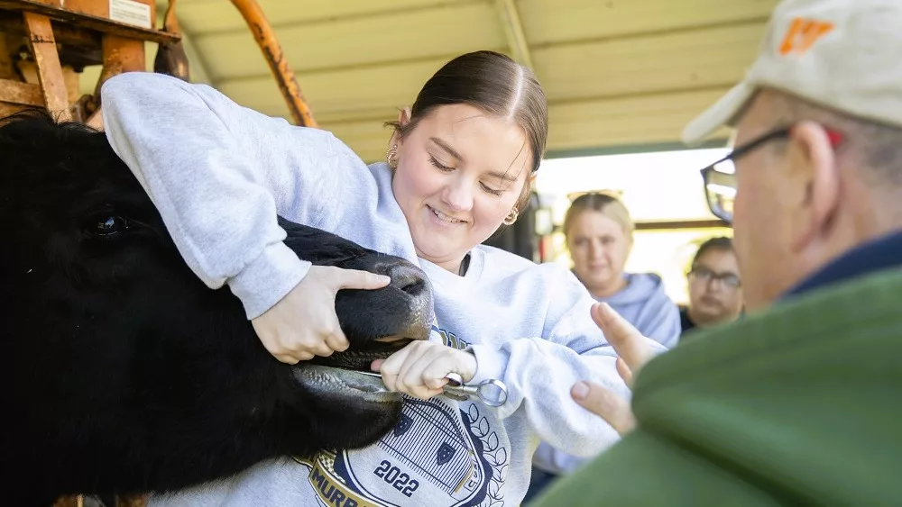 msu-veterinary_medicine_