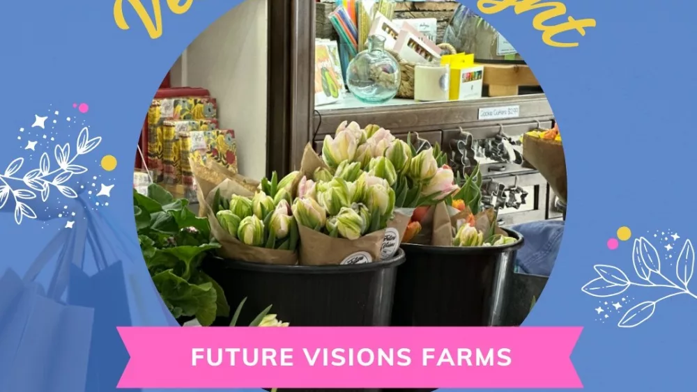 dixie-future-visions