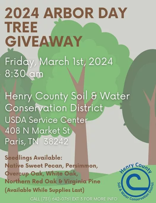 Tree Seedlings Arbor Day Giveaway | radio NWTN