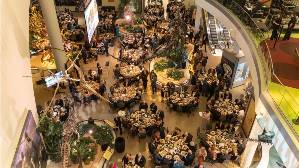 dpa-gala