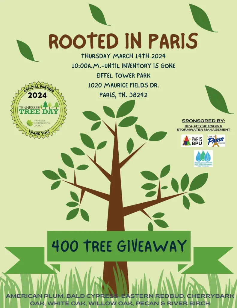 “Rooted In Paris” Tree Giveaway | radio NWTN