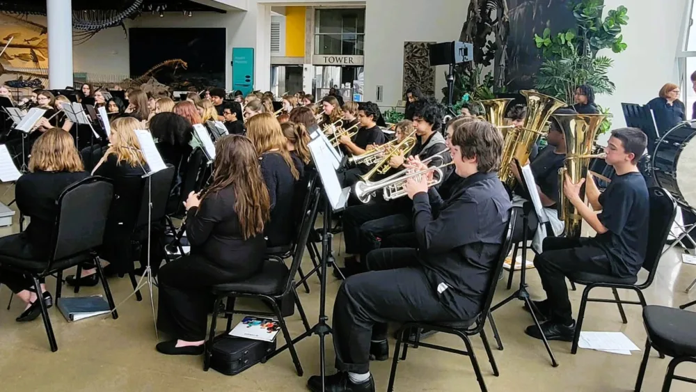 hc-band-at-dpa
