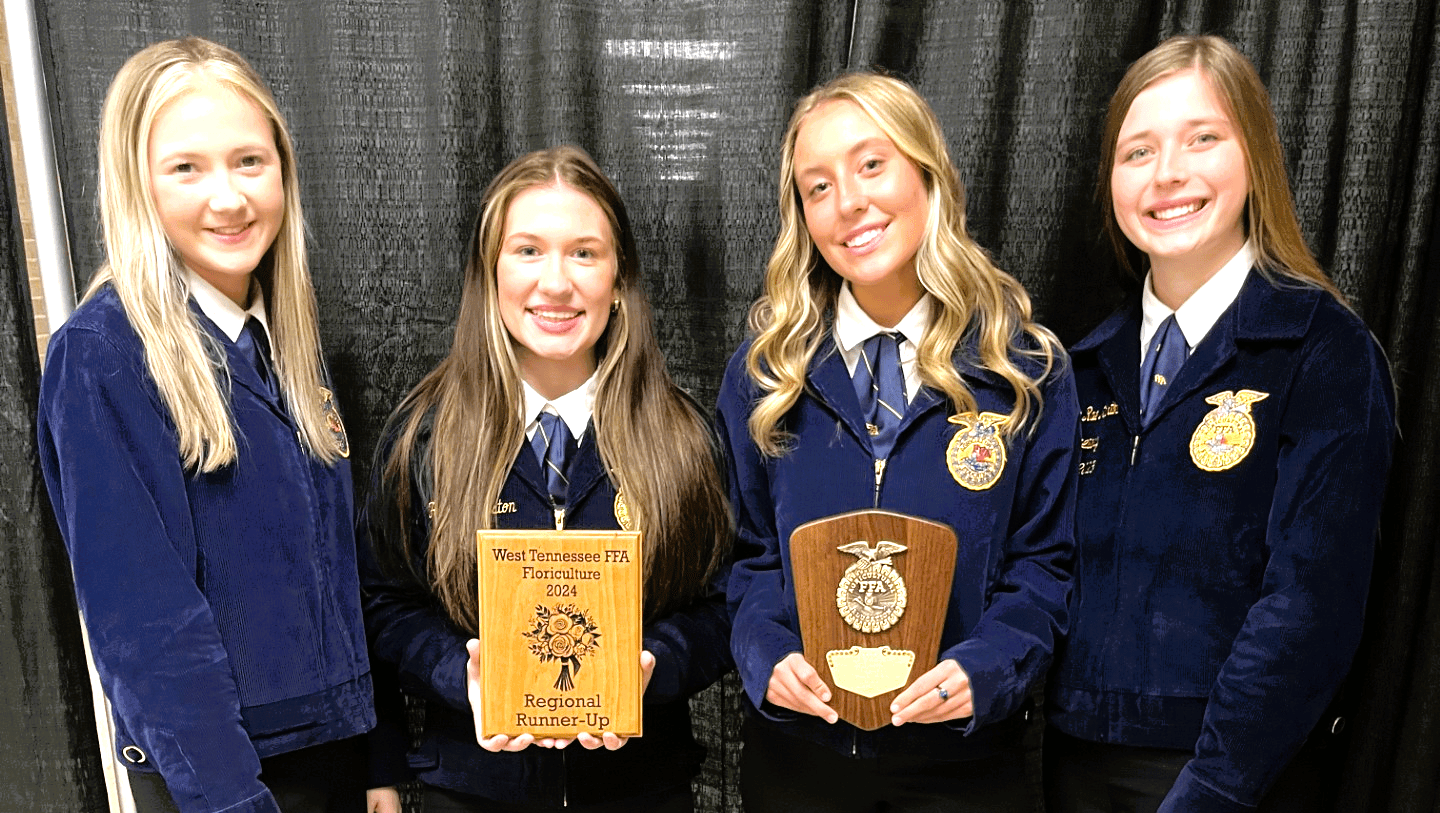 occhs-ffa