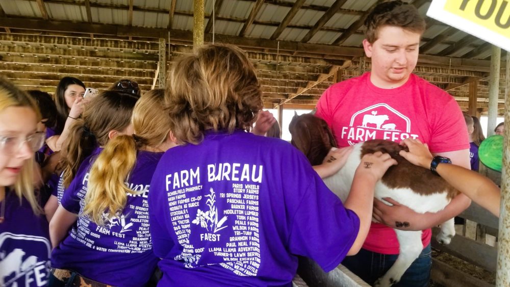 farm-fest-24-gavin-w-goat