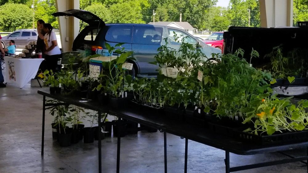 farmers-market-may-19