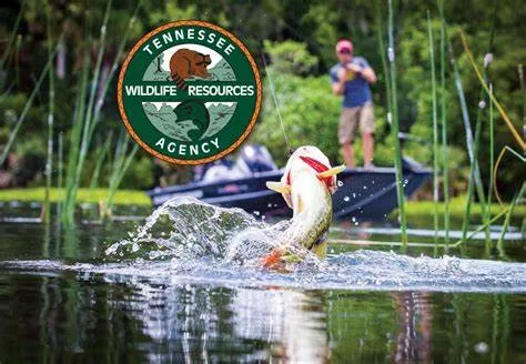 twra-free-fishing