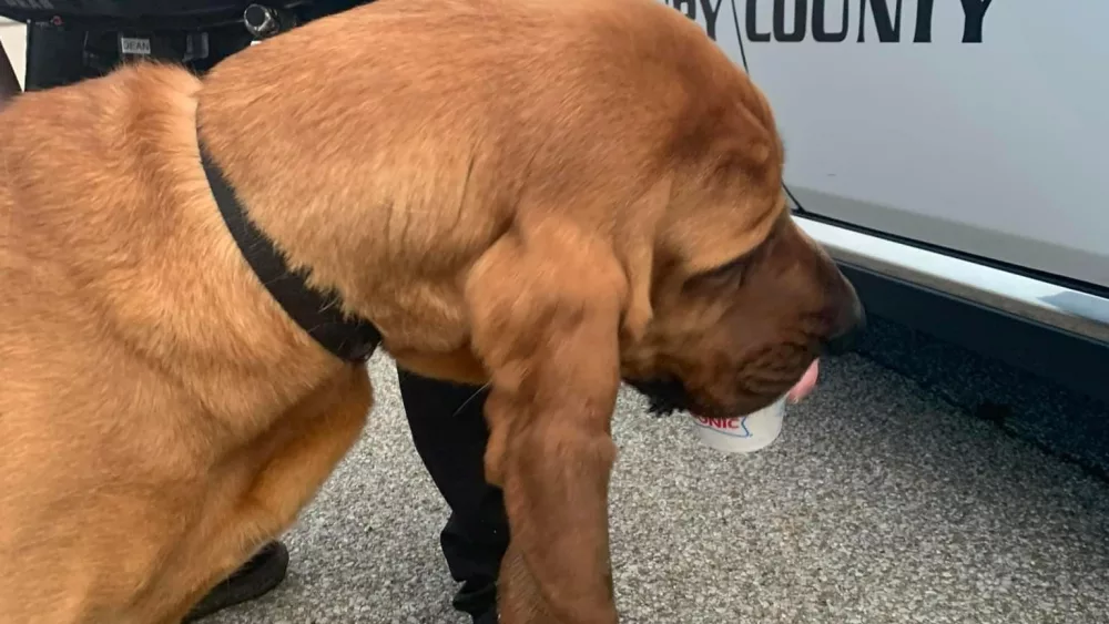 steve-dean-and-lincoln