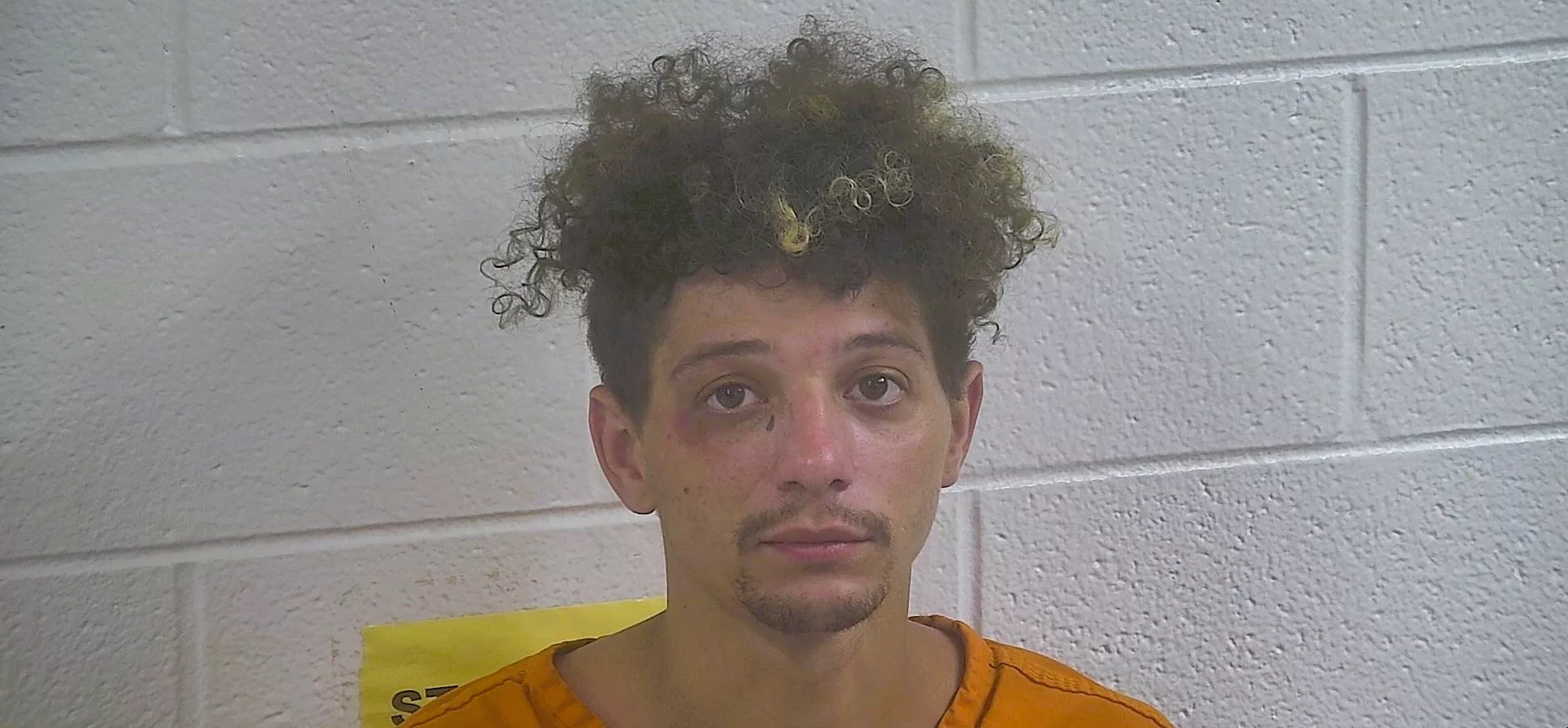 brandon-partee