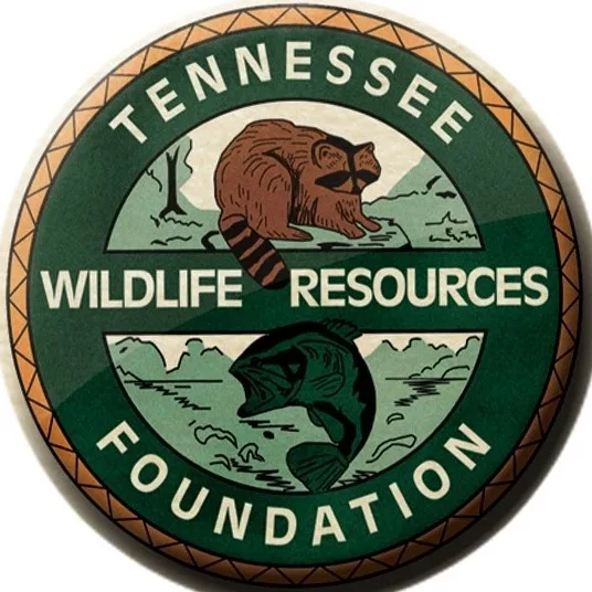 tenn-wildlife