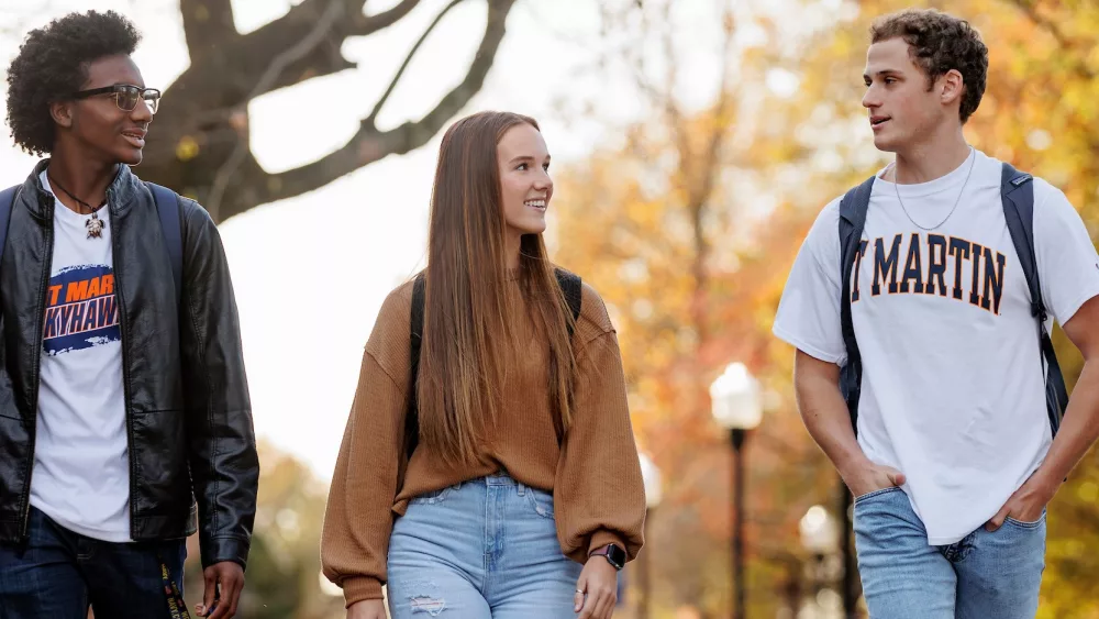 utm-fafsa-1-2