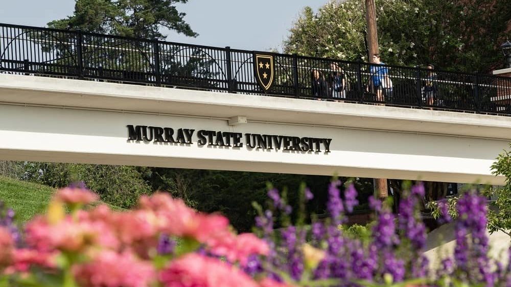 msu-walkway