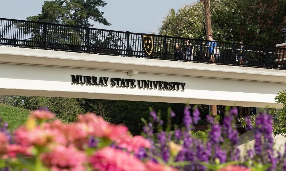 msu-walkway