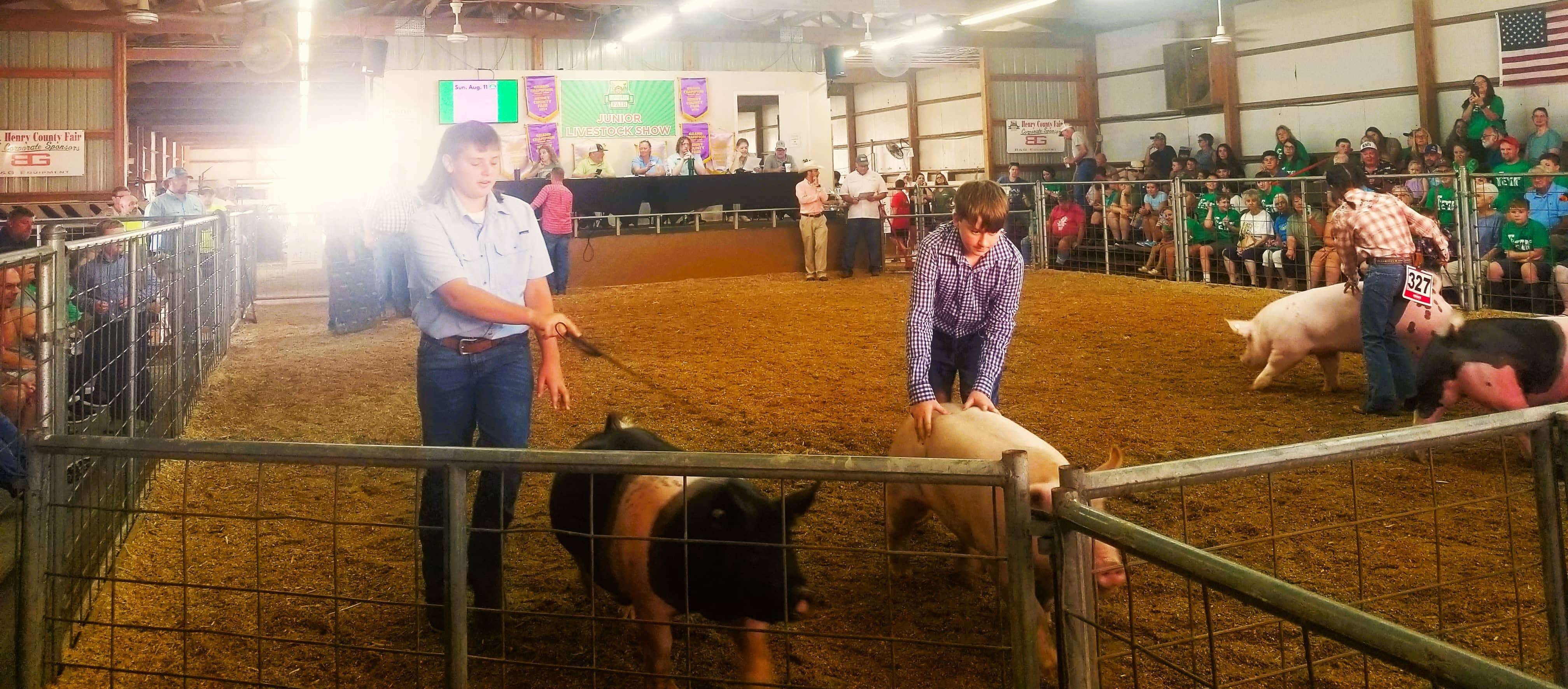fair-livestock-kids-w-hogs
