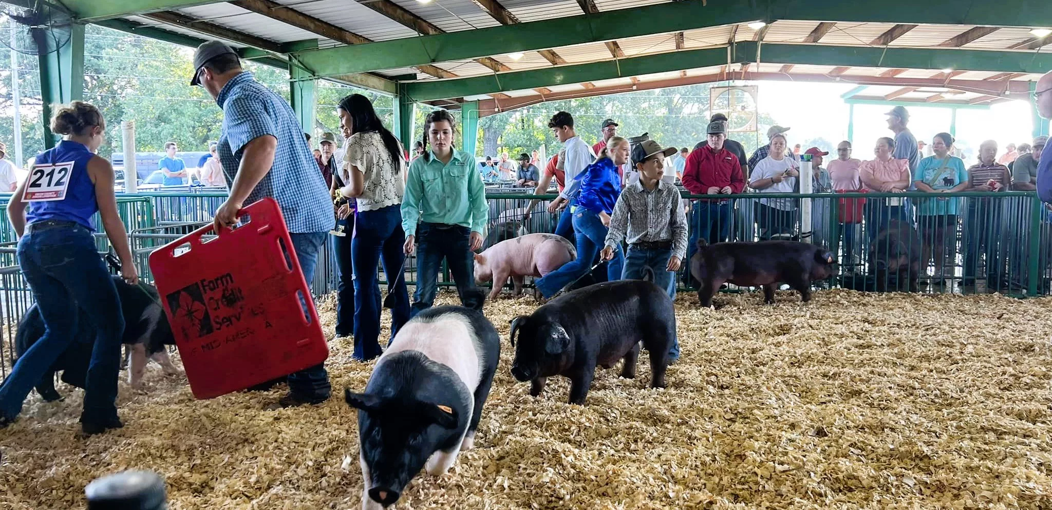 oc-c-hog-show