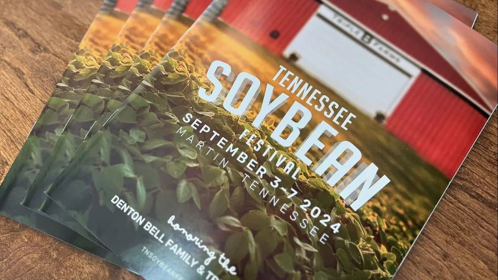 soybean-mag