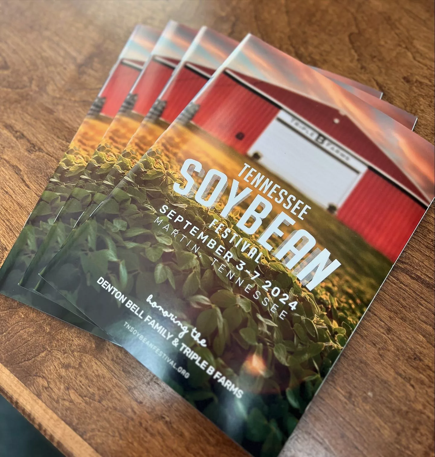 soybean-mag