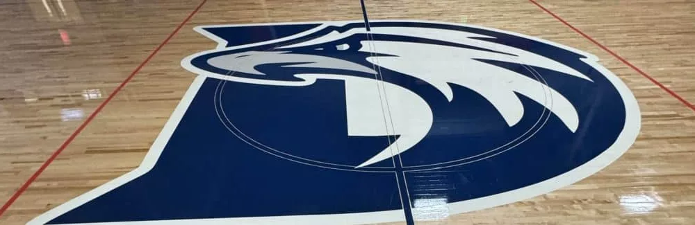 dyersb-state-bb-court